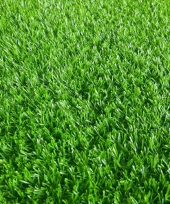 ThẢm CỎ 2cm 18 MŨi