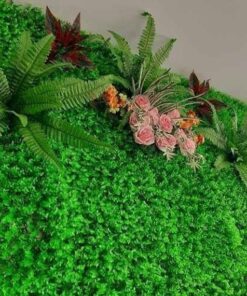 ThẢm CỎ NhÂn TẠo Tai ChuỘt