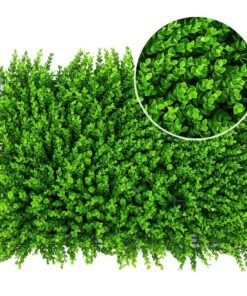 Trang chủ 31 ThẢm CỎ NhÂn TẠo Tai ChuỘt