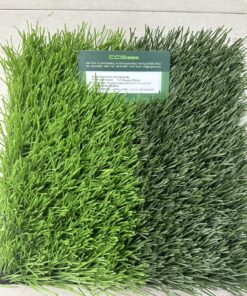 Thảm Cỏ Nhân Tạo Sân Bóng Ccgrass 