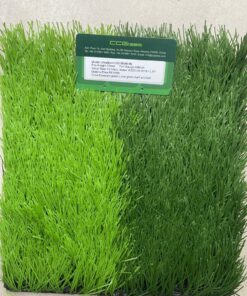 Thảm Cỏ Nhân Tạo Sân Bóng Ccgrass Ultrasport 5004b120 Bl