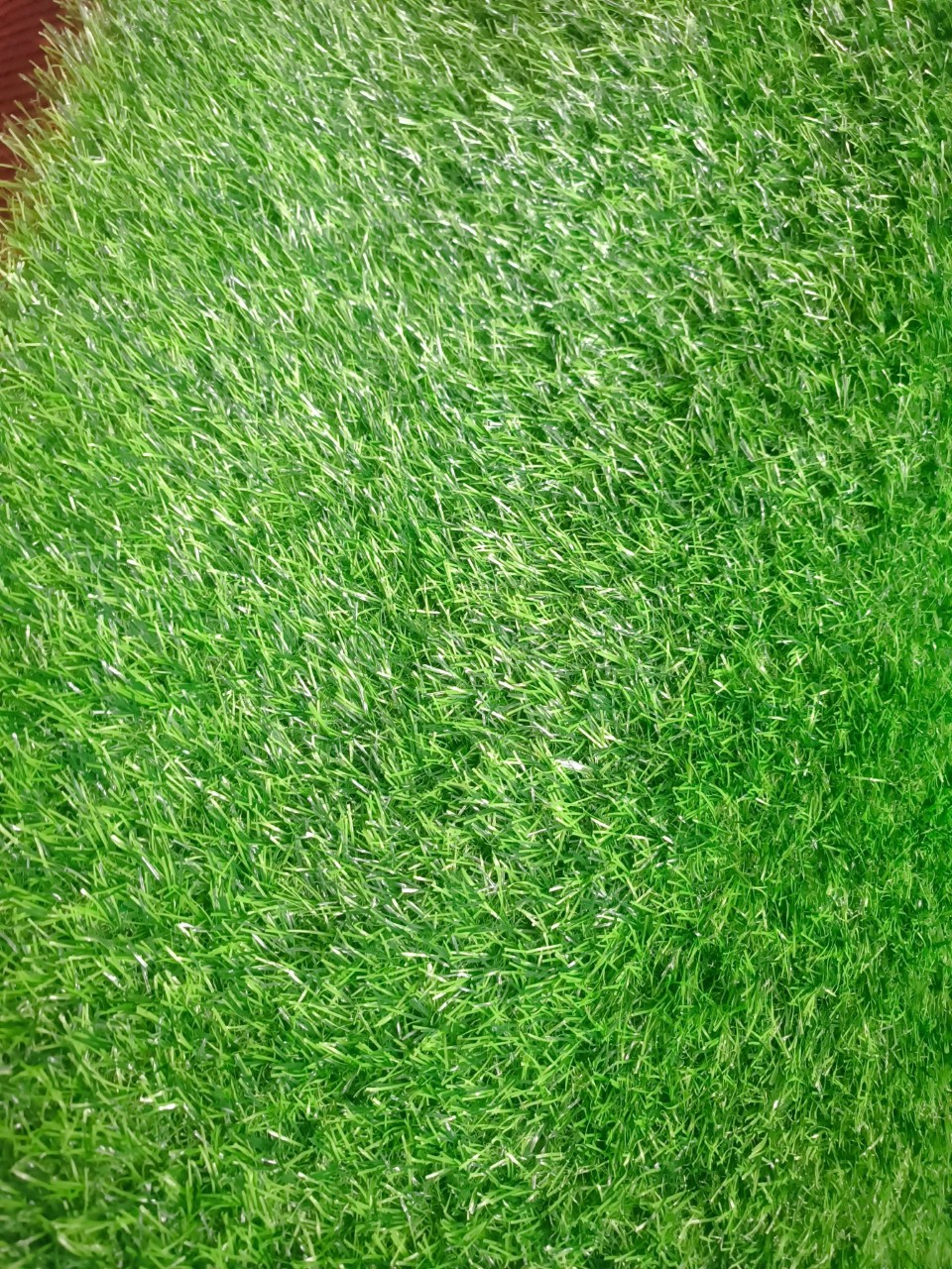 Thảm cỏ nhân tạo 3cm 15mui