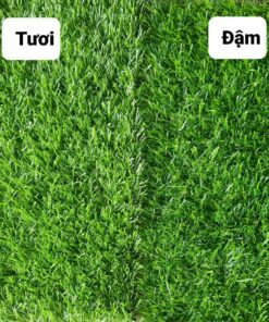 z5423842601571 13cef1b177377103cdaaf94a61be8017