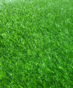 z5423842609678 4305fd5723f1ad48f60579fa6d1639dd