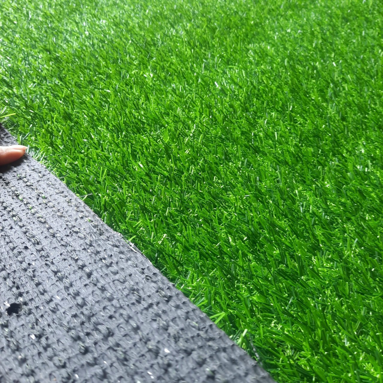 Thảm cỏ nhân tạo 2cm 