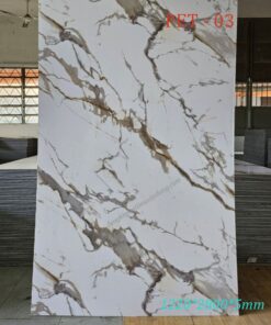 Trang chủ 197 Tấm Ốp Than Tre Pet 03